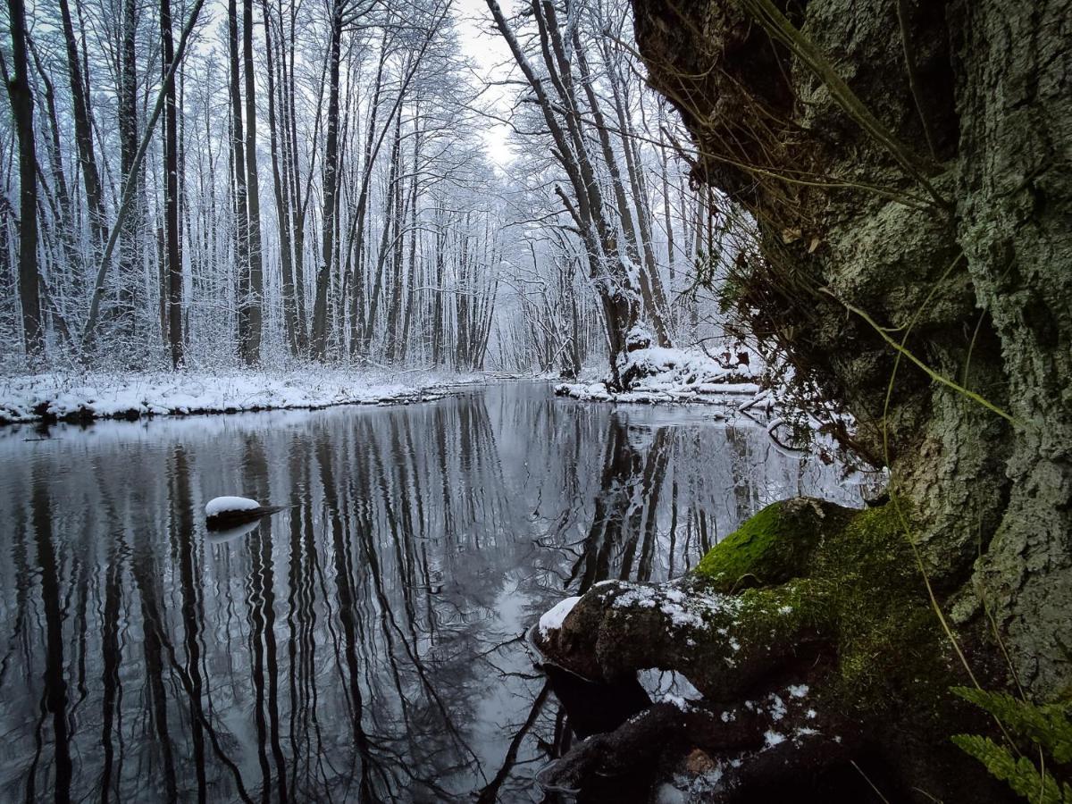 Отель Urzeka Drzewce  Экстерьер фото