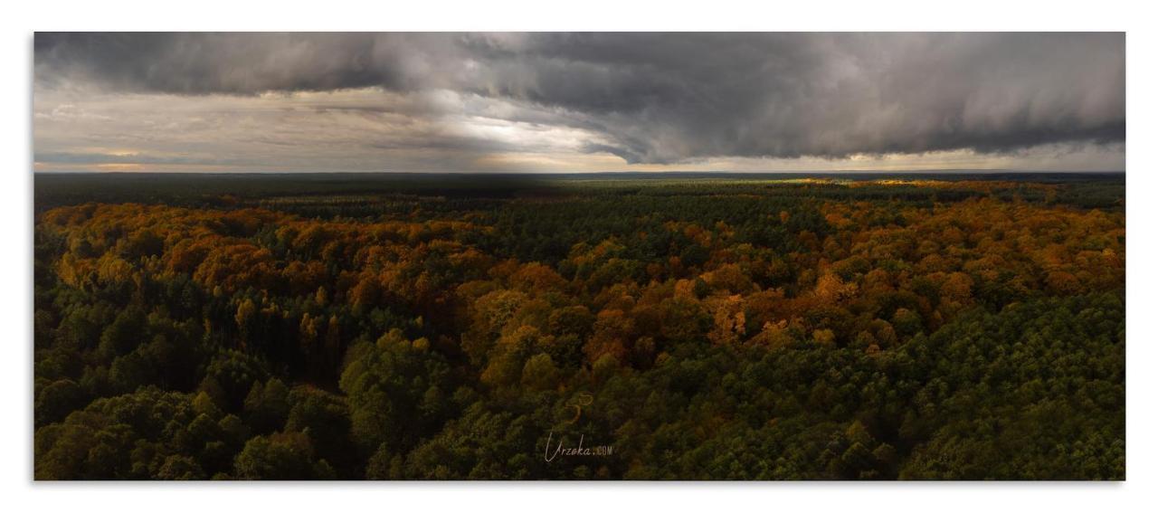 Отель Urzeka Drzewce  Экстерьер фото